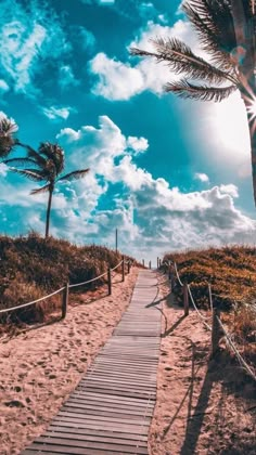 a wooden walkway leading to the beach with palm trees on either side and blue sky in the background