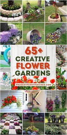 the cover of 65 creative flower gardens