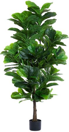 PRICES MAY VARY. 【Lifelike Appearance】Carefully crafted to mimic the appearance of a real live fiddle leaf fig tree,looking as close to reality as possible, perfect for any room or office decor. Single trunk splits into several stems, adorned with 184 fiddle leaves, clearly textured leaves and vivid color makes this faux fiddle leaf fig tree a timeless home decor for all seasons and will definitely make you feel the existence of nature. 【Stay Green All Year Round】Artificial trees will not wither Fig Trees, Corner Plant, Fake Trees, Fiddle Leaf Fig Tree, Ficus Lyrata, Silk Tree, Floor Plants, Home Office Living Room, Faux Tree