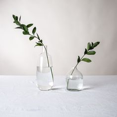 two vases with plants in them sitting on a white tablecloth covered table top