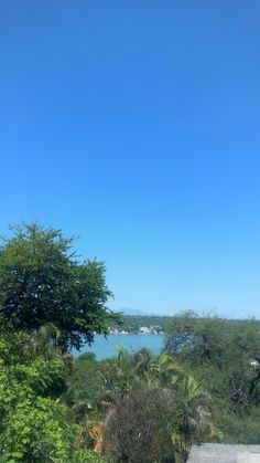 a view of the water from above some trees