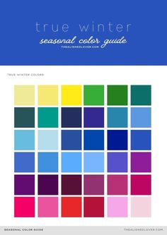 Winter Summer Color Palette, True Winter Color Palette Outfit Ideas, Cool Winter Color Palette Outfits, Clear Winter Color Palette, Season Color Palette