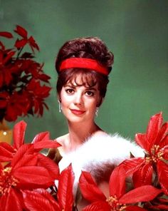 a woman wearing a red headband with poinsettis in front of her