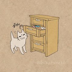 a drawing of a cat standing next to a drawer