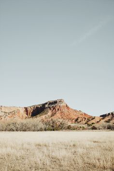 an empty field in front of a mountain with no leaves on the grass and trees