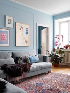 a living room with blue walls and rugs