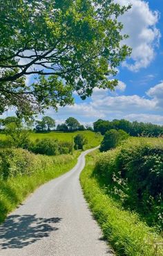 Walking Road, Feeling Alive, Countryside Landscape, My Workspace, Garden Landscape Design, Landscape Scenery, Color Psychology, Country Road, Beautiful Landscapes