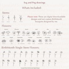 flowers and their meanings are shown in this graphic style, which includes the names of each flower