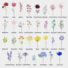 the different types of flowers are shown in this image, and each flower has its own name