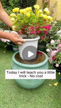 #DIYbackyard #BackyardDecor #OutdoorDecor #HomeDecor #GardenDecor #DecoronBudget #DIYbackyardProject #BackyardIdeas #TurnBackyard #EasyBackyardDIYProject #fyp #Viral #TrendyDecor