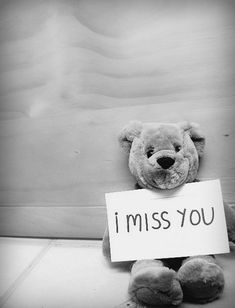 a teddy bear holding a sign that says i miss you