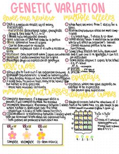 a handwritten poster with the words, genetic variation and multiple options on it