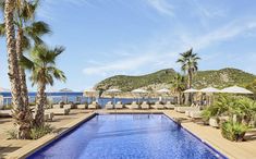 an outdoor swimming pool with lounge chairs and umbrellas next to the ocean, surrounded by palm trees