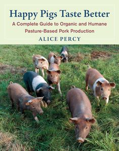 the book cover for happy pigs taste better by alice percy, with five piggies in