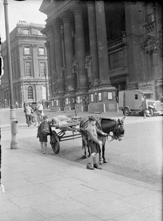 an old black and white photo of two cows pulling a cart