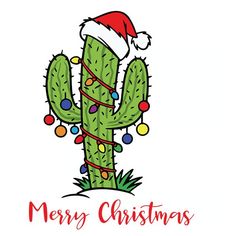 a christmas cactus with a santa hat on it's head and the words merry christmas written