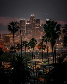 the city skyline is lit up at night, with palm trees in front of it