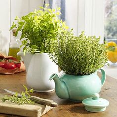 there are two potted plants on the table next to each other, one is green