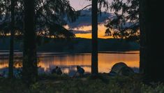 two people are camping in the woods at night near a lake with trees and a tent