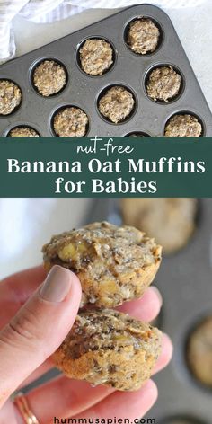 banana oat muffins in a muffin tin with the title overlay