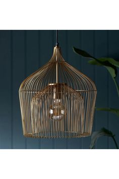 a bird cage hanging from the ceiling next to a plant