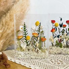 three clear vases with flowers and plants in them on a lace doily next to a teddy bear