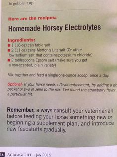 the recipe for homemade horsey electrolytes is shown in an article about how to use it