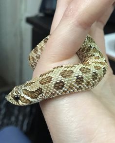 a close up of a person's hand holding a snake