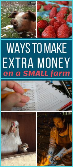 there are pictures of farm animals, strawberries and other things to make extra money on a small farm