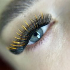 Orange Eyelashes, Anime Lashes, Lash Styles, Wispy Lashes, New Makeup, Lash Artist, Lashes Makeup, What Type, Lash Extensions