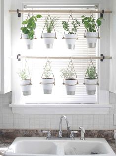 a kitchen sink under a window with potted plants hanging from it's side