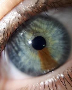 Iris Reference, Eyes References, Multicolored Eyes, Eye Photos, Iris Eye, Eye Color Chart, Beautiful Eyes Color, Eyes Color, Eye Pictures