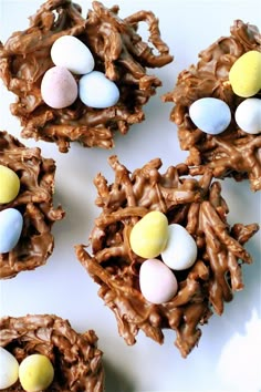 chocolate bird's nest cookies with candy eggs on top