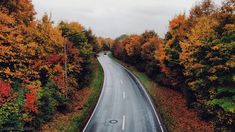 an empty road surrounded by trees with orange and yellow leaves on the sides in autumn