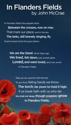 the poem in flanders's fields by john mccrae is shown with red poppies