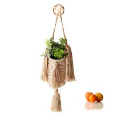 a hanging planter with plants in it next to oranges on a white surface