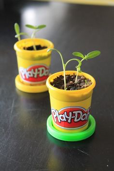 two plastic planters sitting on top of a black table with plants growing in them