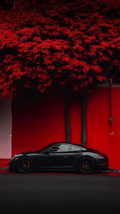 4k Resolution Porsuche GT3 car, wallpaper in red trees