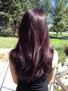 True Violet Hair Color Loreal Hicolor, Ref Hair Color Red, Purple Hair Color On Black Hair, Plum Berry Hair, Deep Plum Red Hair Color, Wine Purple Hair Color, Cherry Coke Red Hair Color Burgundy Purple, Black Hair Colours, Violet Cherry Hair