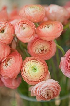 a bunch of pink flowers in a vase