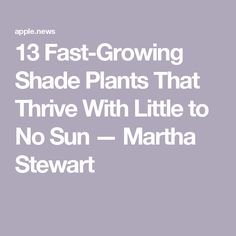 the text reads 13 fast growing shade plants that thrive with little to no sun martha stewart