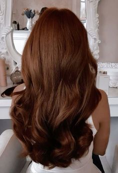 Spicy Cinnamon Hair Color, Red Tinged Brown Hair, Dark Brown Hair Warm Red Undertones, Warm Burnett, Rory Gilmore Hair Color, Deep Auburn Brown Hair, True Brunette Hair, Dark Brown Golden Hair, Warm Copper Brown Hair