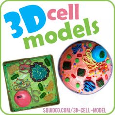 3D+models+are+a+fun,+easy+way+to+learn+about+plant+and+animal+cells+and+this+hands-on+science+project+is+often+assigned+in+middle+and+high+school...