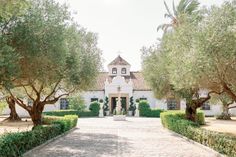 a large white house surrounded by trees and bushes with a walkway leading to the front door