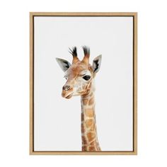 a giraffe's head is framed in a wooden frame on a white wall