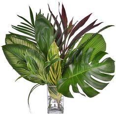 Jungle Greenery Tropical Centerpiece Carnival Flowers, Jungle Christmas, Tropical Room Ideas, Leaves Arrangement, Greenery Centerpieces, Foliage Bouquet, Tropical Centerpieces, Foliage Arrangements, Tropical Interiors