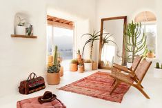 a room filled with lots of potted plants next to a mirror and rug on the floor