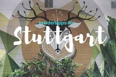 the words, insider tips for stutgartt are in front of an image of a deer's head