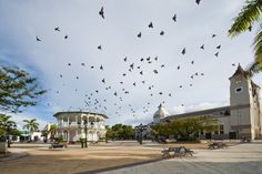 many birds are flying in the air over a park area with benches and palm trees