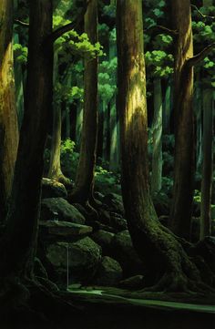 an image of a forest with rocks and trees